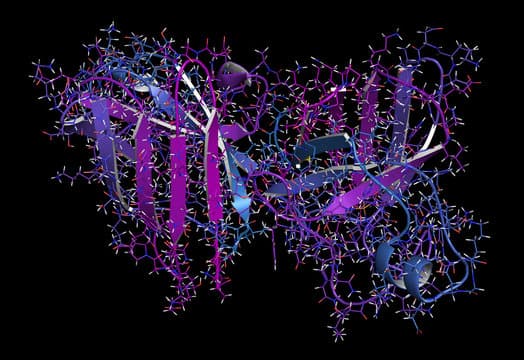 Protein structure visualization